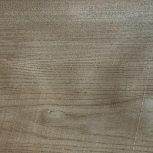 24-OLMO-SILVER TRANCIATO OLMO SYLVER 06/10