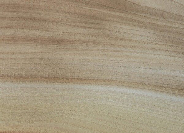 OLMO AMERICANO BIANCO