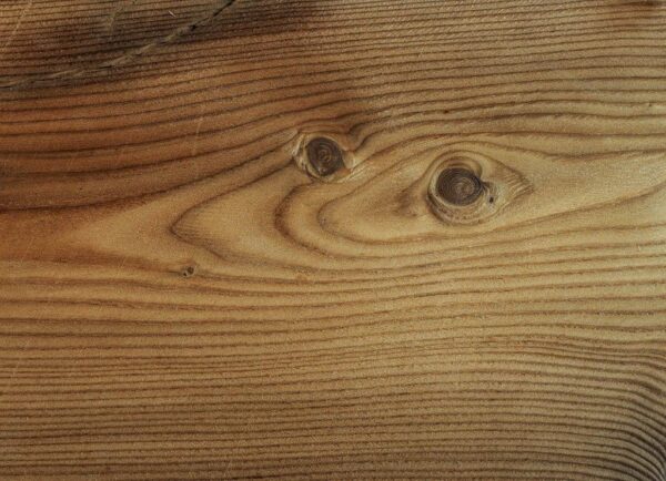 33-LARICE-VECCHIO-DA-TRAVE LARICE VECCHIO DA TRAVE