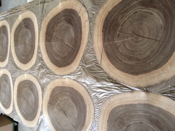 CERCHI DI TRANCIATO DI NOCE CANALETTO