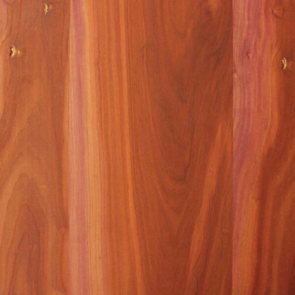 PANNELLO PLACCATO PRUGNA 06/10 VERNICIATO