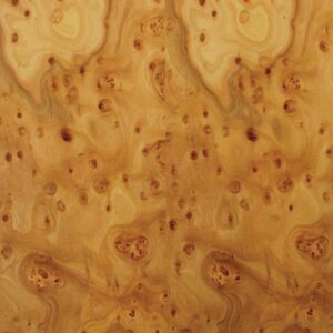 PANNELLO PLACCATO CON TRANCIATO RADICA DI OLMO 06/10-VERNICIATO