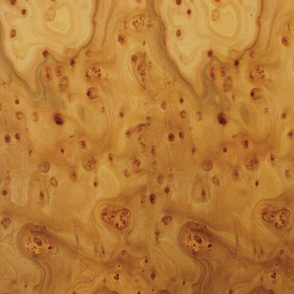 PANNELLO PLACCATO CON TRANCIATO RADICA DI OLMO 06/10-VERNICIATO