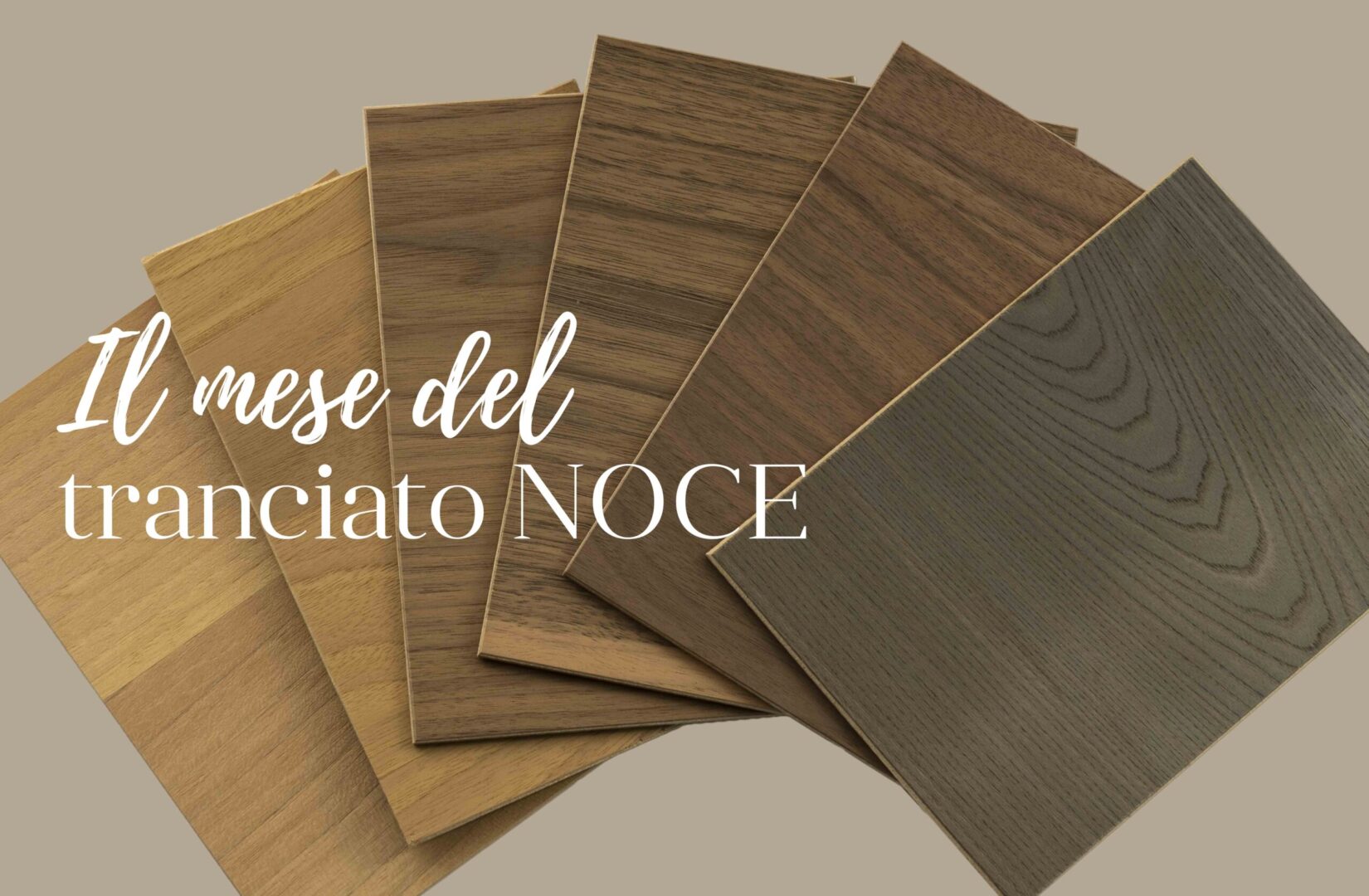 Campioni di tranciato