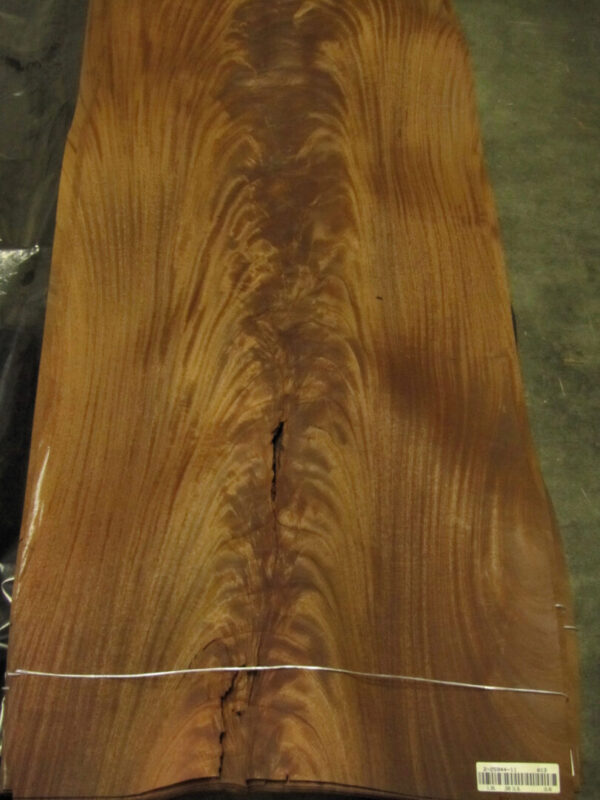 TRANCIATO PIUMA DI MOGANO