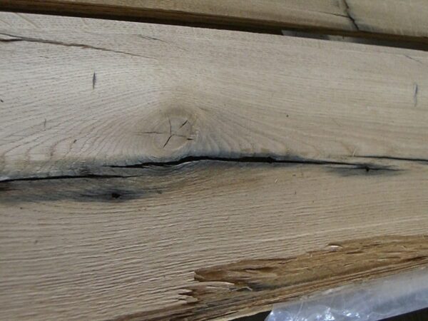 TRANCIATO ROVERE VECCHIO